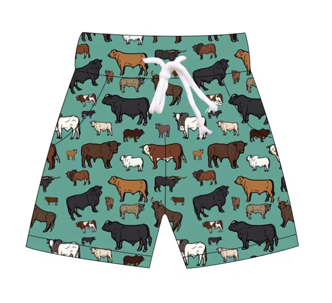 Boys Swim Trunks ( mid June )